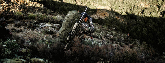 Roar Ready with Great Gear