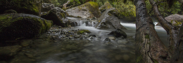 tramping and hiking backpacks for children kids youth NZ